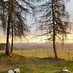 - Mirrored Forest Retreat Σπίτι διακοπών Hazlov