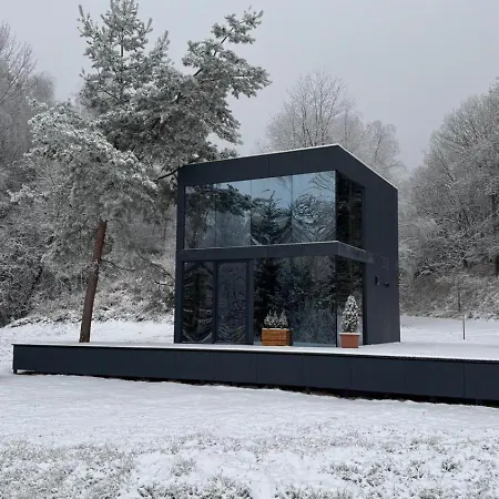 - Mirrored Forest Retreat *