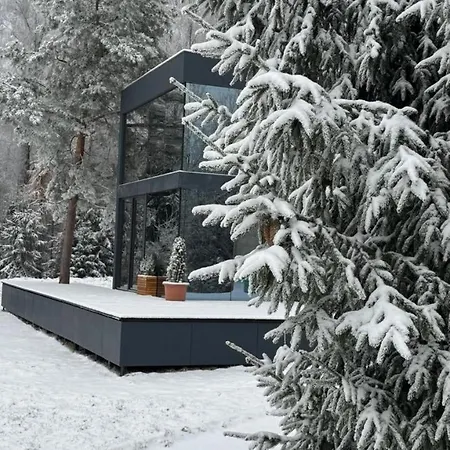 - Mirrored Forest Retreat * Hazlov