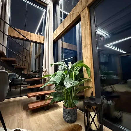 - Mirrored Forest Retreat