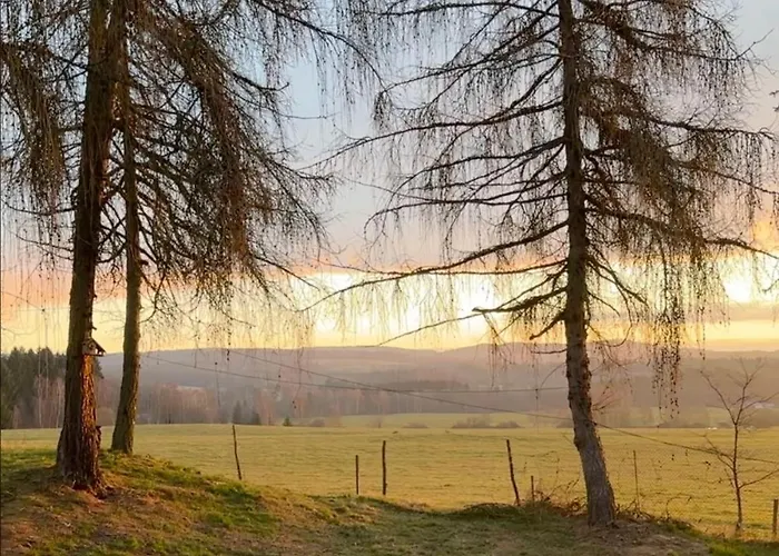 - Mirrored Forest Retreat Holiday home Hazlov