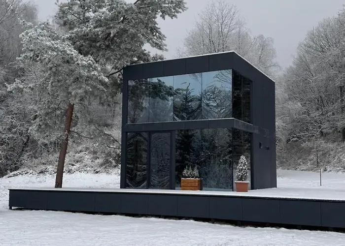 - Mirrored Forest Retreat *
