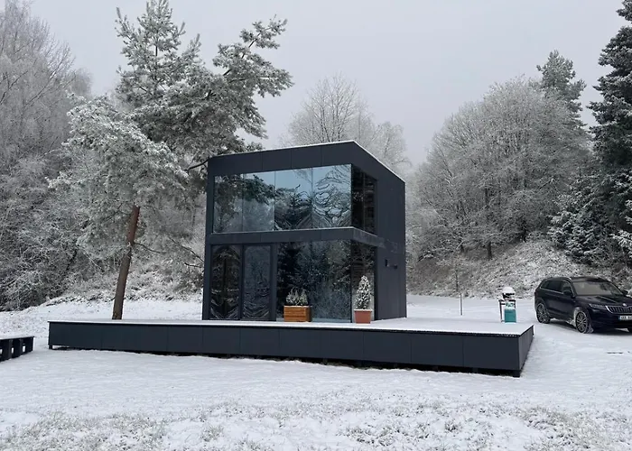 Ferienhaus - Mirrored Forest Retreat