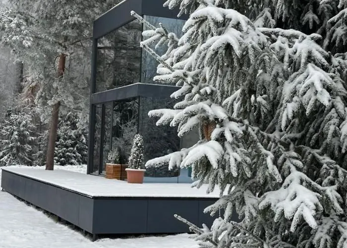- Mirrored Forest Retreat * Hazlov