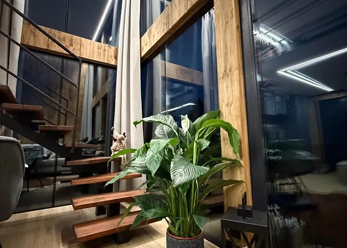 - Mirrored Forest Retreat